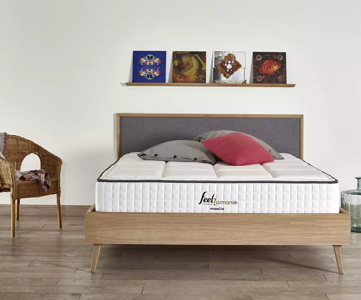 Matelas 2 places en mousse - Maelia