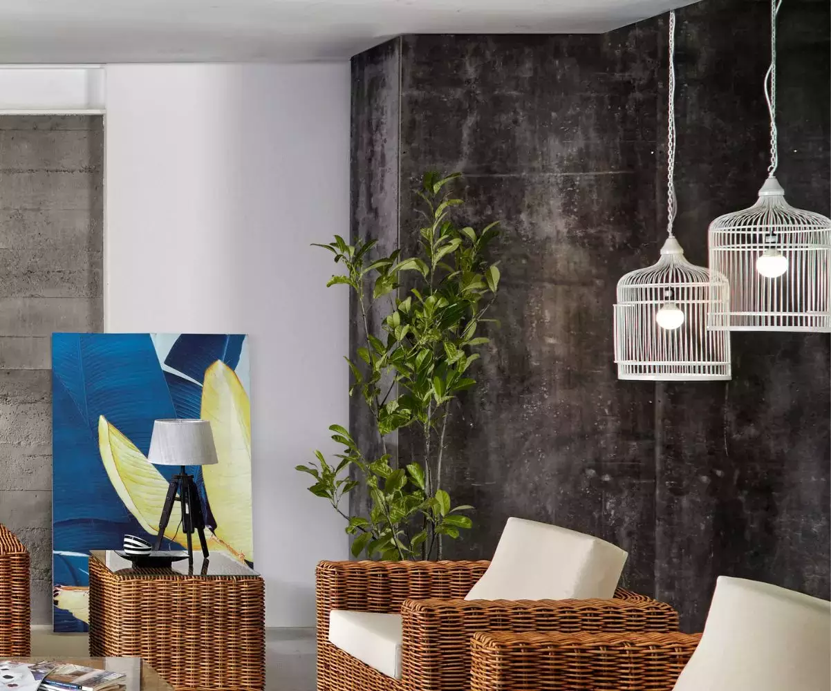 suspension luminaire