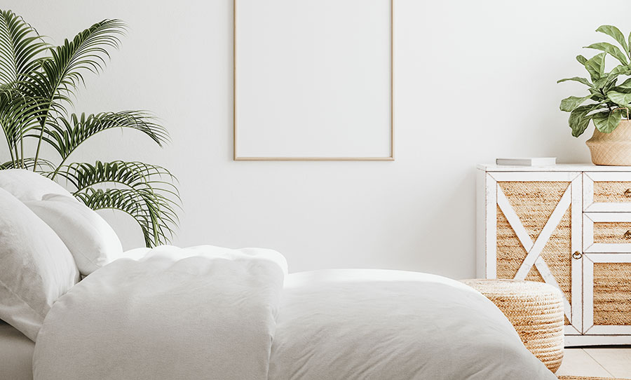 Chambre avec plantes vertes